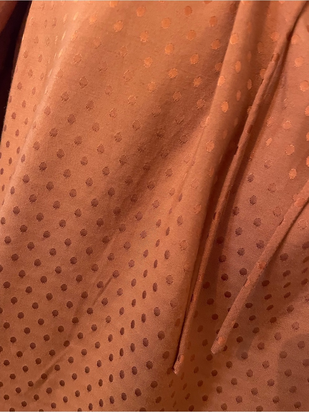 Draper James Polka Dot Tie-Neck Blouse - Picture 3 of 8